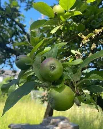 Modernes Haus Mit Garten In Windberg, Ruhig & Zentral *