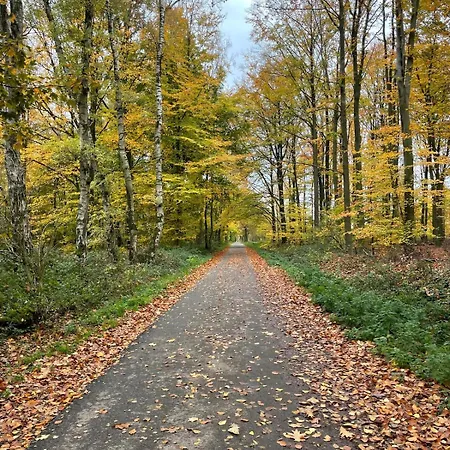 Modernes Haus Mit Garten In Windberg, Ruhig & Zentral Holiday home *