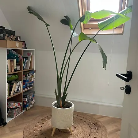 Modernes Haus Mit Garten In Windberg, Ruhig & Zentral 度假居 *