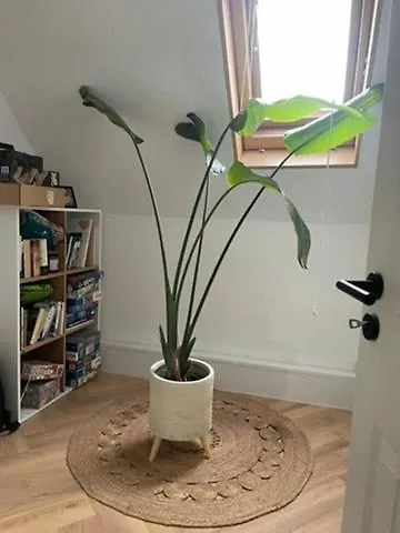 Modernes Haus Mit Garten In Windberg, Ruhig & Zentral * 门兴格拉德巴赫