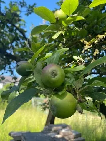 Modernes Haus Mit Garten In Windberg, Ruhig & Zentral *