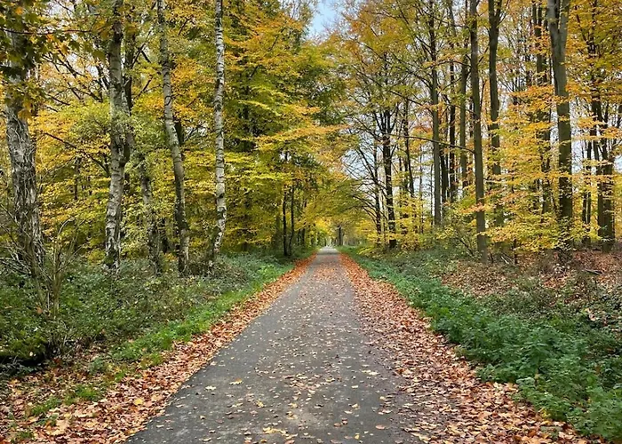 Modernes Haus Mit Garten In Windberg, Ruhig & Zentral Tatil Evi *
