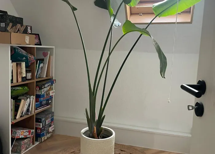 Modernes Haus Mit Garten In Windberg, Ruhig & Zentral 度假居 *