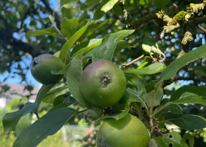 Modernes Haus Mit Garten In Windberg, Ruhig & Zentral 度假居 门兴格拉德巴赫